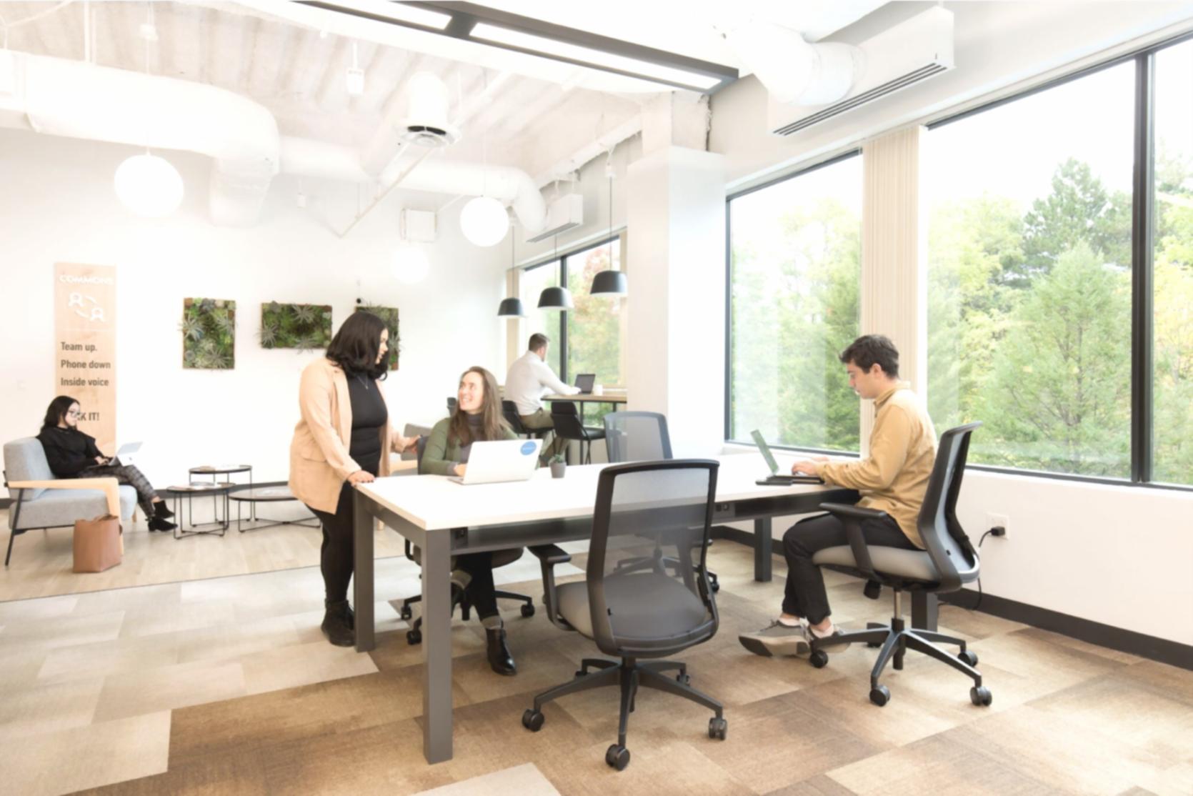 Students working on real website optimization projects